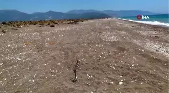 Kaplumbağa yuvalarını sopa, kazık ve taşlarla işaretlediler