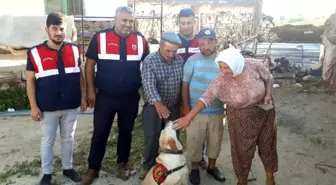 Manisa'da kayıp zihinsel engelli Ümmet bulundu