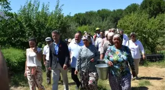 Şen Şeftali Şenliği'nde üretici kasa kasa satış yaptı