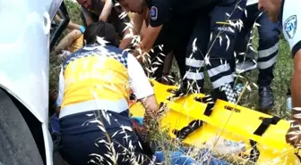 Amasya'da trafik kazası: 5 yaralı