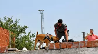 Polisten 'Fırtına'lı uyuşturucu baskını