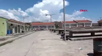 AKSARAY Devraldığı tesiste, mantar üretimini 4 kat artırdı