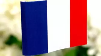 Artık yasak: 'Kalçaya Vurma Karşıtı Yasa' onaylandı