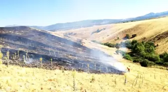 Bingöl'deki yangınlar söndürüldü