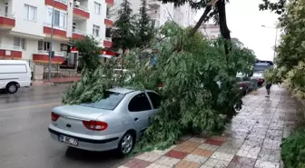 Çorum'da fırtına dehşeti