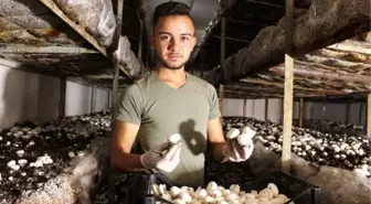 Devraldığı tesiste, mantar üretimini 4 kat artırdı