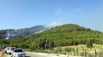 Fethiye'de ormanlık alanda yangın (2)