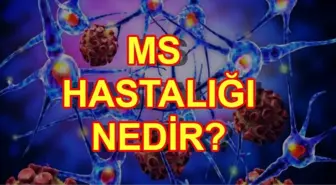 MS hastalığı nedir? Multiple Skleroz hastalığı belirtileri nelerdir?