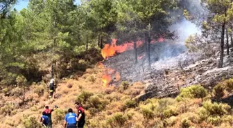 Fethiye'de ormanlık alanda yangın çıktı