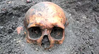 Yunanistan'da Modern İnsanlığa Ait Avrupa'nın En Eski Fosili Bulundu