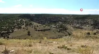 Büyük İskender'in kurduğu antik kent ortaya çıkarılıyor