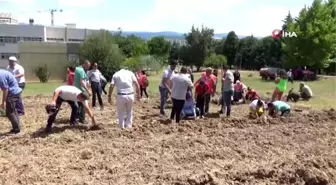 Her 15 Temmuz şehidi için 1 fidan dikildi