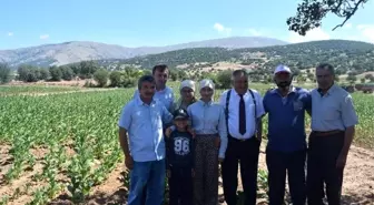 Kaymakam Soley başarılı öğrenciyi tarlada ziyaret etti