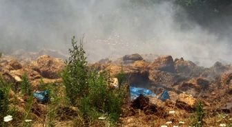 Pazaryeri'nde samanlar alev alev yandı