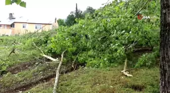 Şiddetli fırtına evlerin çatılarını uçurdu