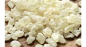 Urlalı 7 amazondan 'Sakız' atağı