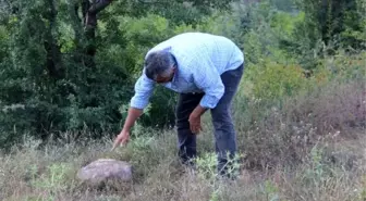 Yol kenarında bulunan lahit korumaya alındı