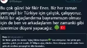 Cumhurbaşkanı Erdoğan'dan 'Ağaç Dikme Bayramı' fikrine yeşil ışık