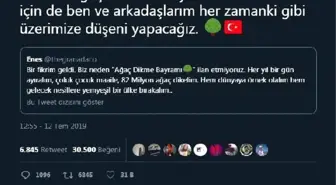 Cumhurbaşkanı Erdoğan'dan 'Ağaç Dikme Bayramı' fikrine yeşil ışık