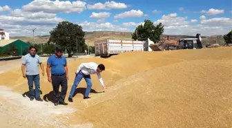 Kırıkkale'den günlük 800 ton buğday ve arpa sevkiyatı yapılıyor