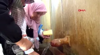 'Acı su' içerek şifa buluyorlar