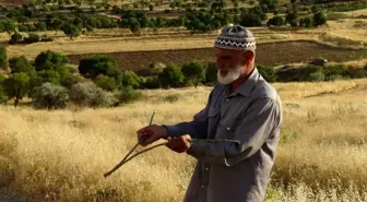 Bakır tel, dut ve nar ağaçlarının dalları ile su buluyor