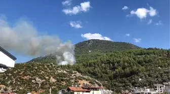 Fethiye'de orman yangını