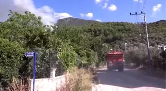 Fethiye'de orman yangını (2)