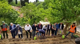 İstanbul'un göbeğinde köy hayatı