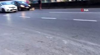 Yolun ortasına yatan köpek trafiği felç etti