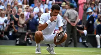 Djokovic: 'Çimleri yedim, çok lezzetliydi'