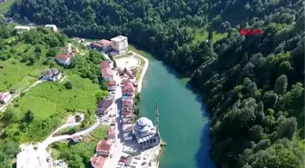 Rize'de toplu balık ölümleri