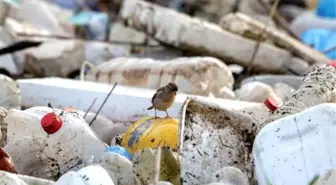 Tek kullanımlık plastiklerin yasaklanması için 200 bine yakın imza