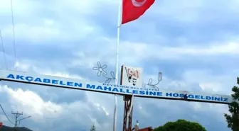 Beyşehir'e dev Türk bayrağı