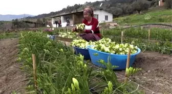 Rengarenk çiçekler kadınların elinde açıyor