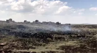 Ani Örenyeri'nde ot yangını - KARS