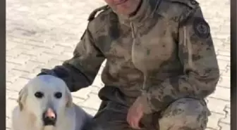 Samsun'a şehit ateşi düştü