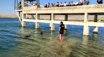 Elazığ'da baraj gölünde bir çocuk boğuldu