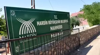 Vasiyeti 42 yıl sonra gerçekleşti; İzmir'deki mezarı Mardin'e taşındı