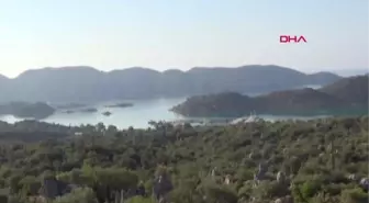 ANTALYA AKDENİZ FOKUNUN KEKOVA'DA BALIK KEYFİ