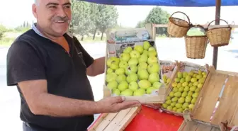 Aydın inciri tezgahlarda yerini aldı