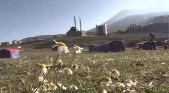 Erciyes yaz turizminin de gözdesi oldu