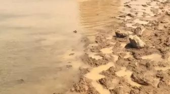 Ergani'de atıyla gezen genç, baraj gölüne düşerek boğuldu