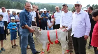 Kırdağ'da buzağı ve Kuzu yarışması renkli görüntülere sahne oldu