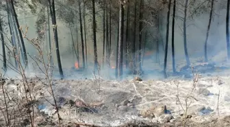 Kumluca'daki orman yangını söndürüldü