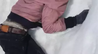 Van Barosu, donarak ölen kaçak göçmenlerle ilgili rapor hazırladı