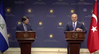 Çavuşoğlu-Colindres ortak basın toplantısı - Colindres