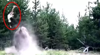 Parktaki bizonun saldırısına uğrayan 9 yaşındaki çocuk metrelerce havaya uçtu