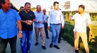 Seracılığa rağbet artıyor