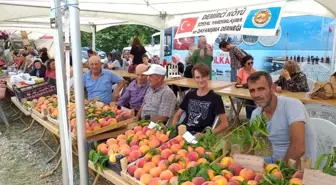 Demiciköy'de Şeftali Festivali